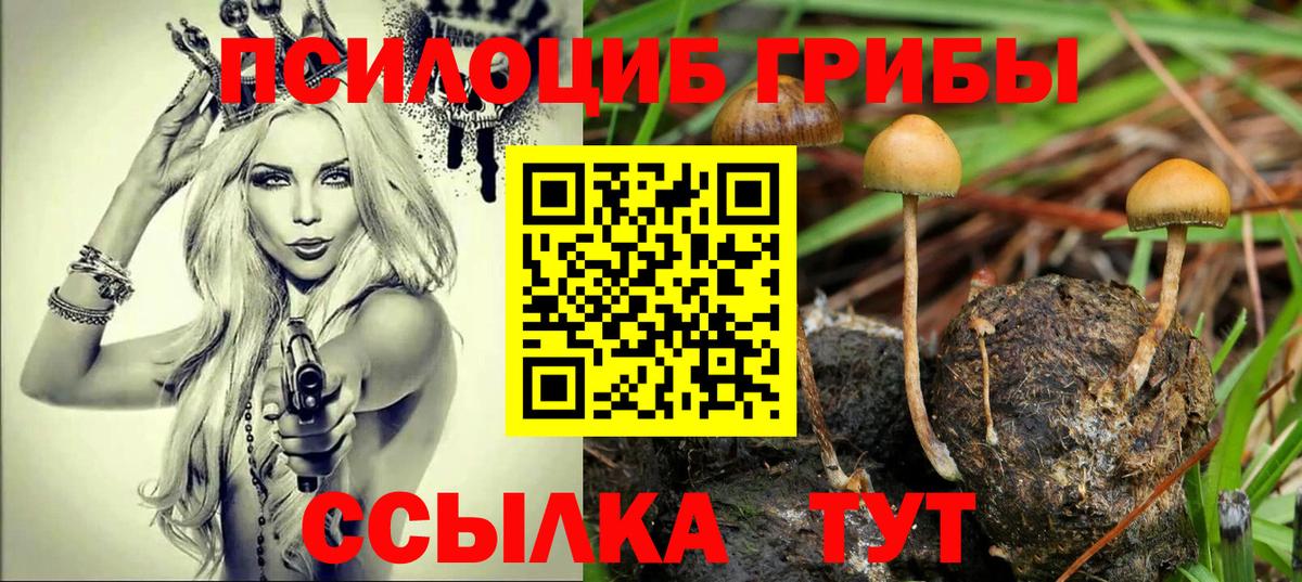 Галлюциногенные грибы Cubensis  Вход с VPN  Псилоцибиновые грибы Cubensis  Великие Луки 
